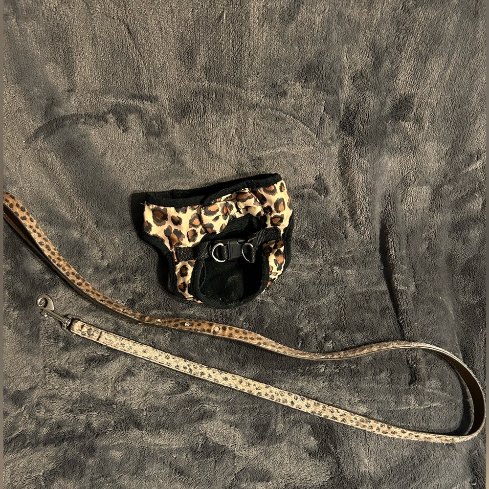Leopard print harness and leash